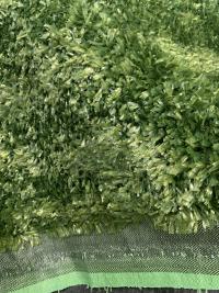 искусственная спортивная трава lux 20 мм 4 - купить в Тамбове
