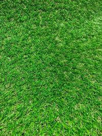 Искусственная трава EverGreen образец ворса 1 - купить в Тамбове