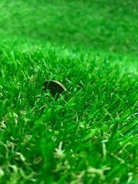 Искусственная трава EverGreen образец ворса 4 - купить в Тамбове