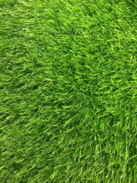 Искусственная трава 35 мм образец ворса 1 - купить в Тамбове